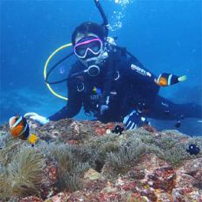 おひとり・日帰りでOK! 伊東・城ヶ崎の海で1日体験ダイビング