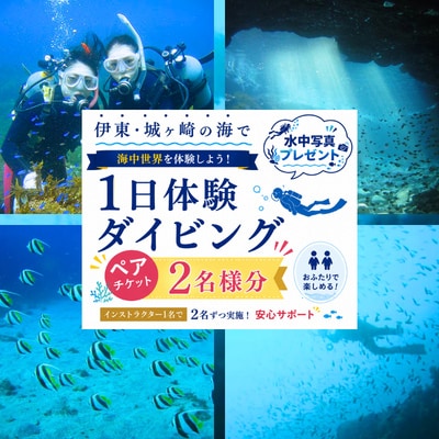 親子で、カップルで! ペアチケット～伊東・城ヶ崎の海で1日体験ダイビング(水中記念写真プレゼント付)