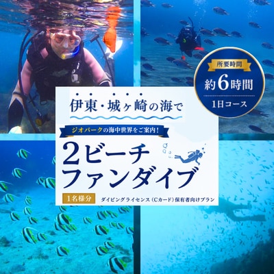 伊東・城ヶ崎の海で【2ビーチファンダイブ】ジオパークの海中世界をご案内!