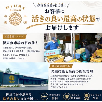 極冷伊勢海老約300g×2尾