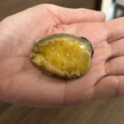 昆布だし風味の柔らか煮あわび一口サイズ200g