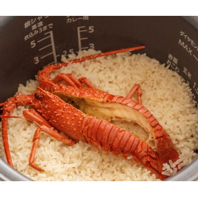 極　潮風そそる海鮮飯　伊勢海老(2合炊き)