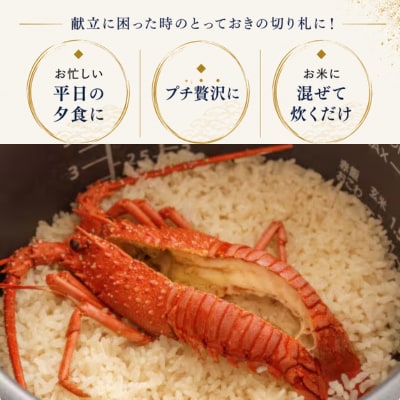 極　潮風そそる海鮮飯　伊勢海老(2合炊き)