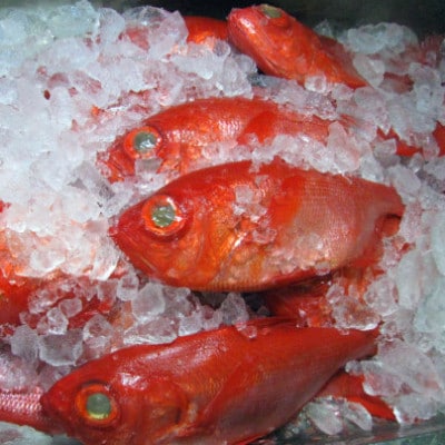 金目鯛漬け魚(西京漬・塩麹漬)詰合せ