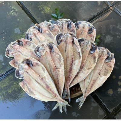 訳あり!　長崎あじ天日干しひもの 10枚!