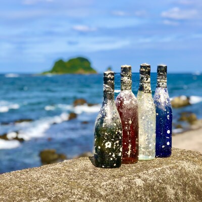 赤ワイン潜酔酒(カベルネソービニオン)