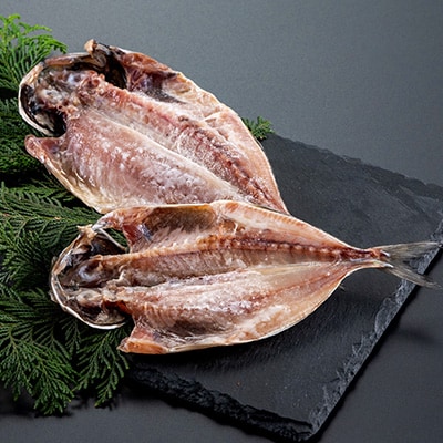 干物セット【初島C】特トロあじ・中あじ各8枚　伊豆・伊東の干物詰め合わせ