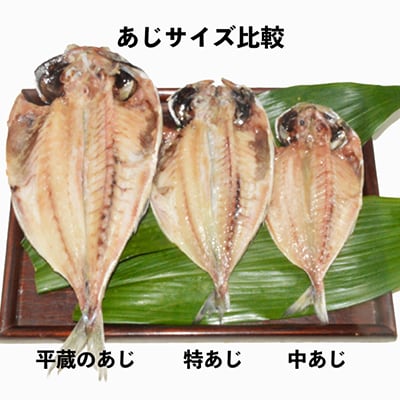 干物セット【特トロあじ10枚セット】　伊豆・伊東のひもの詰め合わせ　静岡県伊東