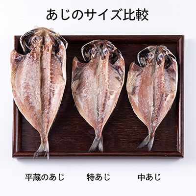 干物セット【特トロあじ10枚セット】　伊豆・伊東のひもの詰め合わせ　静岡県伊東