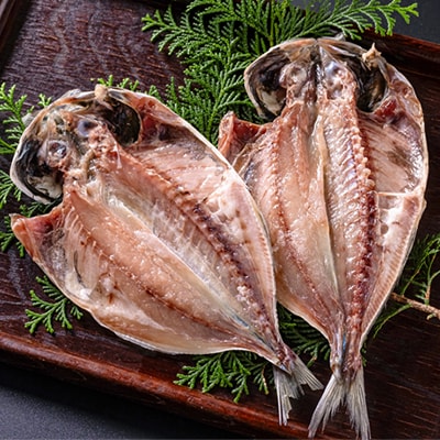 干物セット【特トロあじ10枚セット】　伊豆・伊東のひもの詰め合わせ　静岡県伊東