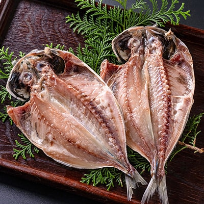 干物セット【特トロあじ10枚セット】　伊豆・伊東のひもの詰め合わせ　静岡県伊東