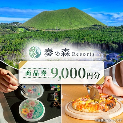 静岡県伊東市【奏の森リゾート】奏の森Resortsのモリノオトでも使える商品券9,000円分