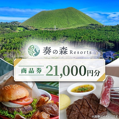 静岡県伊東市【奏の森リゾート】奏の森ResortsのAGEDでも使える商品券21,000円分