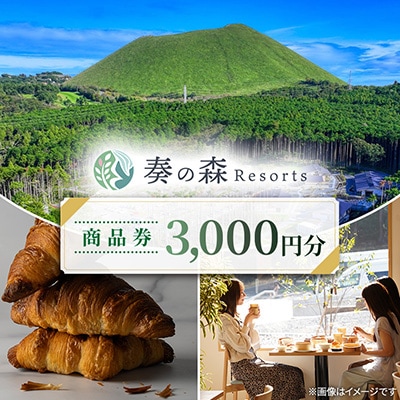 静岡県伊東市【奏の森リゾート】奏の森Resortsのカルムでも使える商品券3,000円分