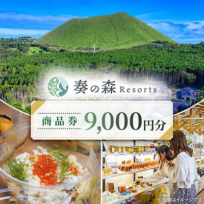 静岡県伊東市【奏の森リゾート】奏の森Resortsのカナデノマルシェでも使える商品券9,000円分