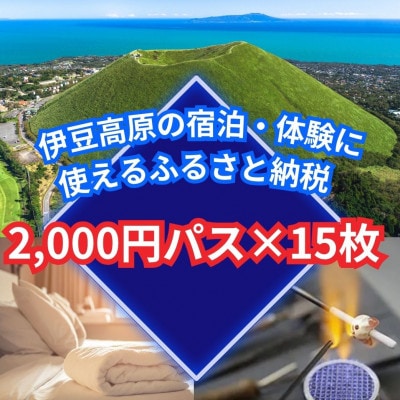 【伊豆高原】＼温泉・宿泊・体験に!/2,000円パス15枚セット