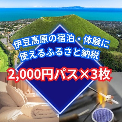 【伊豆高原】＼温泉・宿泊・体験に!/2,000円パス3枚セット