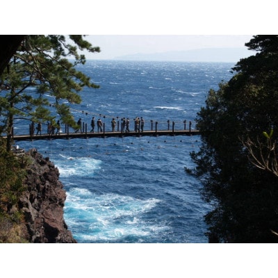 旅する伊豆高原応援パス 2,000円チケット 2枚セット