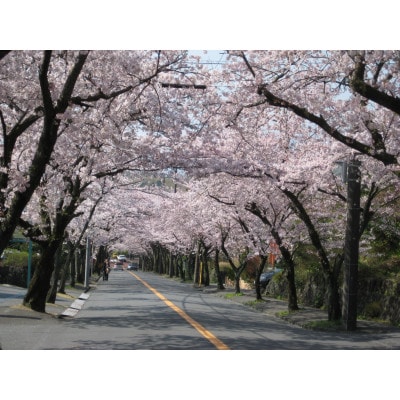 旅する伊豆高原応援パス 2,000円チケット 2枚セット