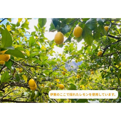 ギフト包装:伊豆産レモンのドライフルーツのハチミツ漬け