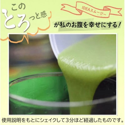 【グリーンベリースムージー160酵素MIX ミックスベリー味】300g(約15食分)