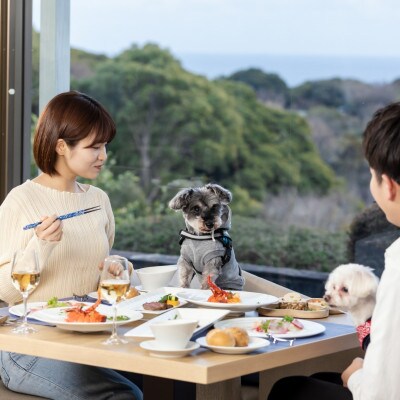 【さとふる限定】わんわんパラダイスプレミア伊豆高原　宿泊ギフト券　3,000円