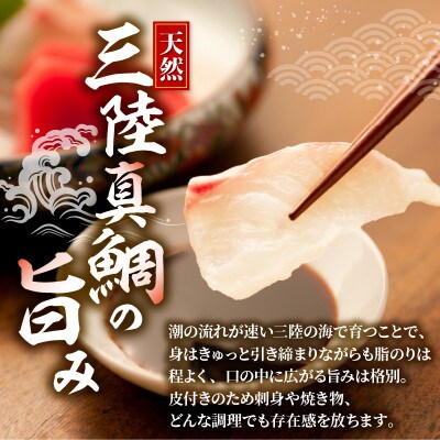 訳あり 真鯛 刺身 600g [kouyou009]