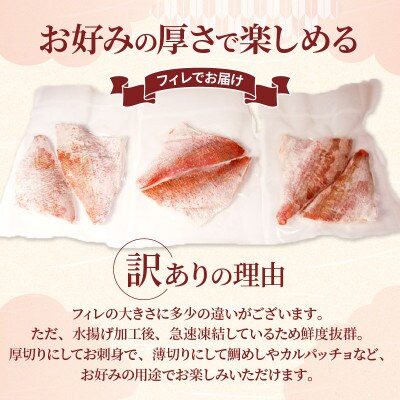 訳あり 真鯛 刺身 600g [kouyou009]