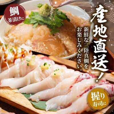 訳あり 真鯛 刺身 600g [kouyou009]