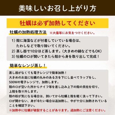 牡蠣 冷凍 殻付き 牡蠣 4kg三陸産 [kouyou013]