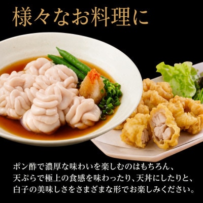 真タラ 白子 1kg (500×2) [kouyou025]