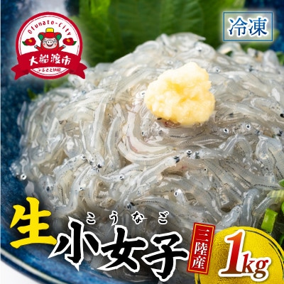 生 小女子(こうなご) 三陸産 数量限定 1kg[kouyou015]