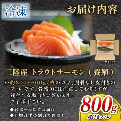 トラウトサーモン 800g[kouyou020]