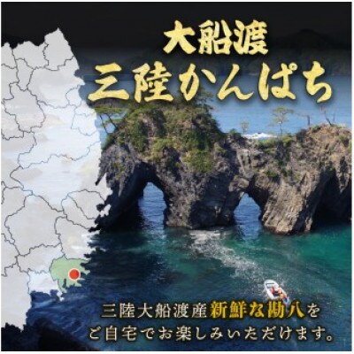 三陸産 カンパチ 刺身 2.5kg [kouyou023]