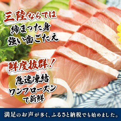 三陸産 カンパチ 刺身 2.5kg [kouyou023]