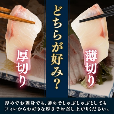 三陸産 カンパチ 刺身 2.5kg [kouyou023]