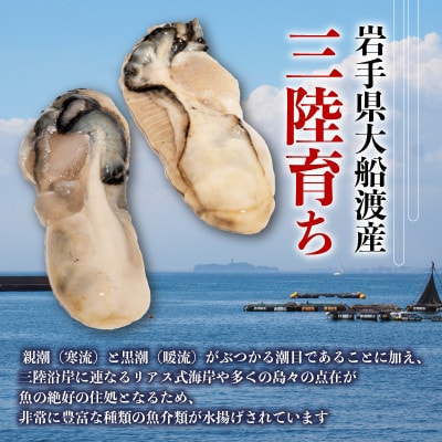 訳あり 牡蠣 むき身 加熱用 1kg [kouyou012_2]