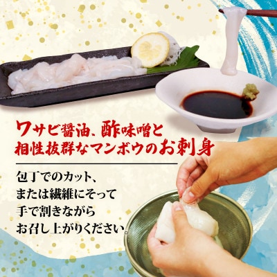 マンボウ 正肉 600g [kouyou011]