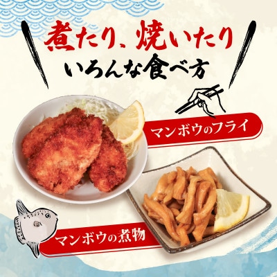 マンボウ 正肉 600g [kouyou011]