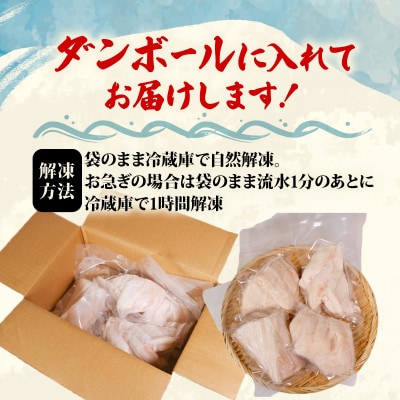 マンボウ 正肉 600g [kouyou011]