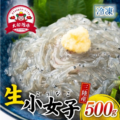 生 小女子(こうなご) 三陸産 数量限定 500g [kouyou014]