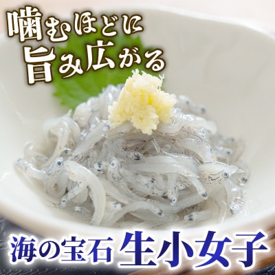 生 小女子(こうなご) 三陸産 数量限定 500g [kouyou014]