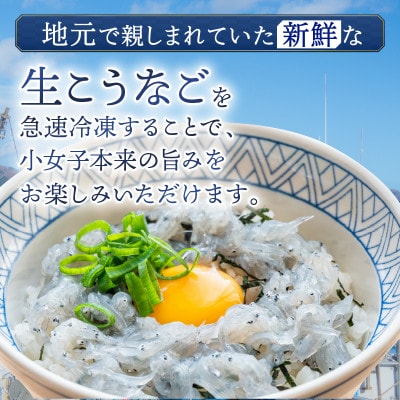生 小女子(こうなご) 三陸産 数量限定 500g [kouyou014]