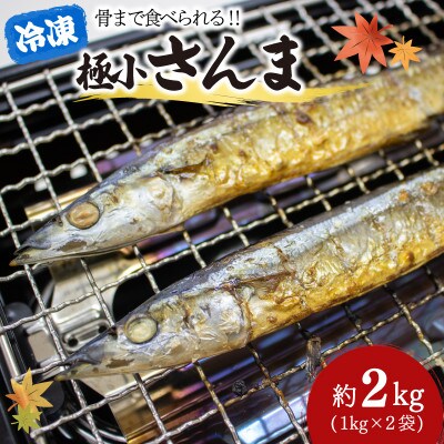 極小 さんま 2kg 1kg×2袋 [kouyou006]