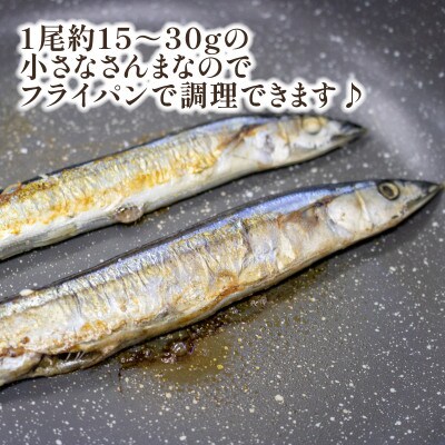 極小 さんま 2kg 1kg×2袋 [kouyou006]