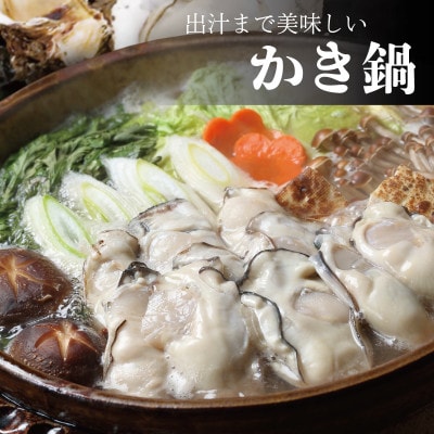 むき身牡蠣(加熱用)480g【大ぶりサイズ】[11-3月配送]