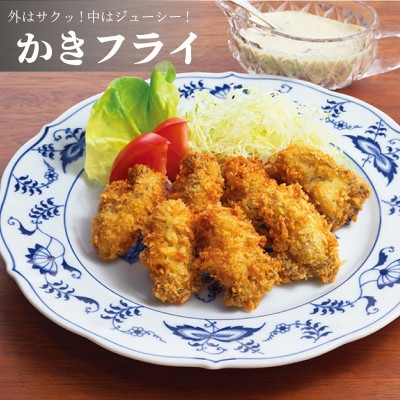 むき身牡蠣(加熱用)480g【大ぶりサイズ】[11-3月配送]