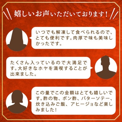 ロケットほや 800g(200g×4本) [kama052]