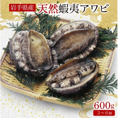 蝦夷あわび 600g [56500426_1]