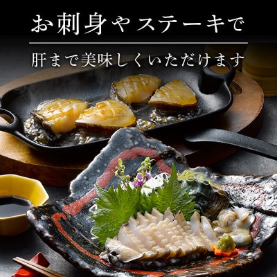 蝦夷あわび 600g [56500426_1]